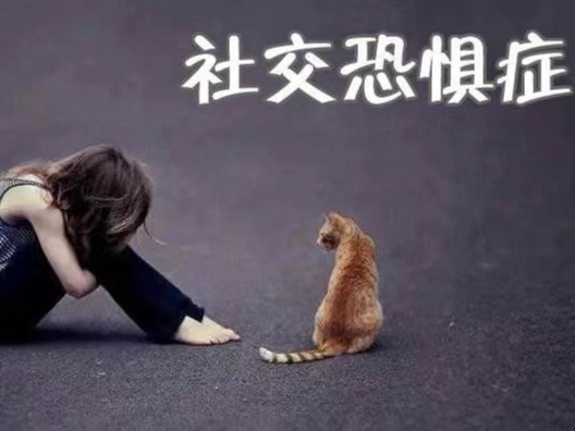 關(guān)于我的人際與社恐