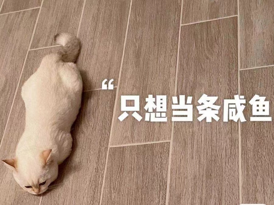 當(dāng)閑魚(yú)也是一種夢(mèng)想嗎？
