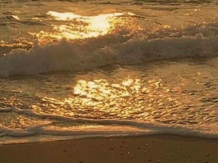 以錯誤之溝渠，引真理之清流