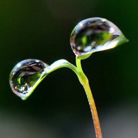 微信頭像反應了一個人對生活的態(tài)度，你的微信頭像是什么