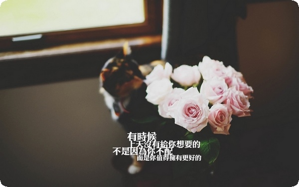 腹黑是什么意思？