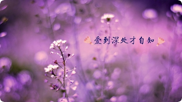 無法滿足父母的索取就是不孝順嗎？如何不被親情綁架