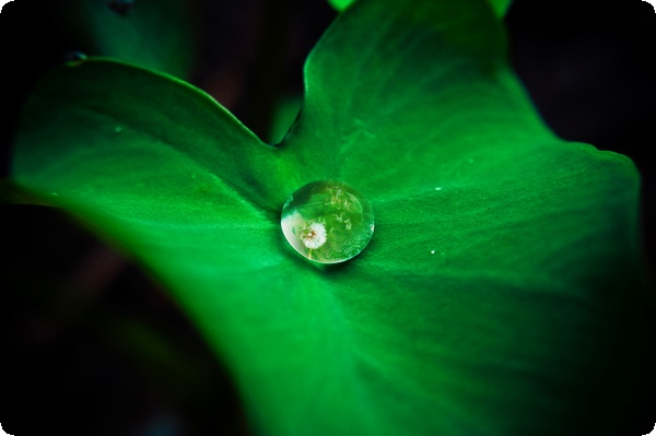 泄氣的正確解釋(泄氣的正確解釋方法)