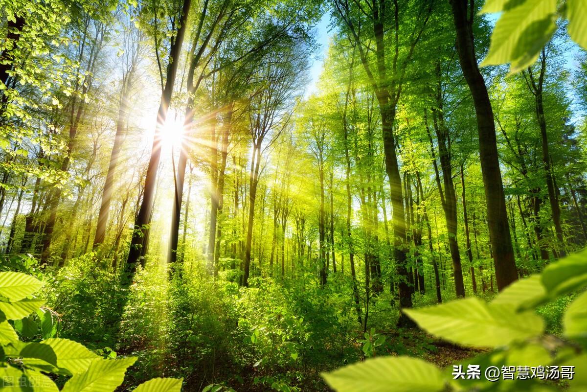 彩色能量心理學(xué)：學(xué)會(huì)傾聽(tīng)并吸收提升正能量
