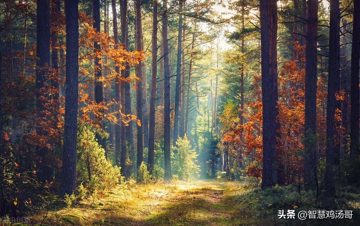彩色能量心理學(xué)：學(xué)會(huì)傾聽(tīng)并吸收提升正能量
