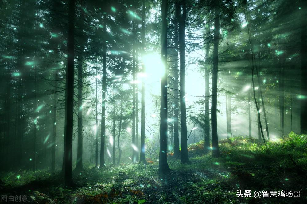 彩色能量心理學(xué)：學(xué)會(huì)傾聽(tīng)并吸收提升正能量